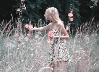 Czy kwiaty petunii są jadalne?