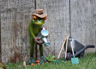 Jak działa abonament?