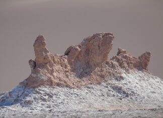 Jak wprowadzić środek trwały?