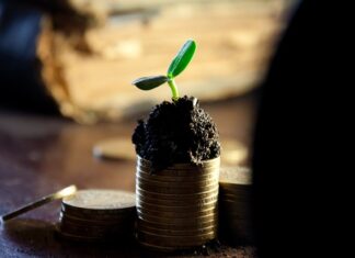 Jak długo trzeba trzymać akcje żeby dostać dywidendę?