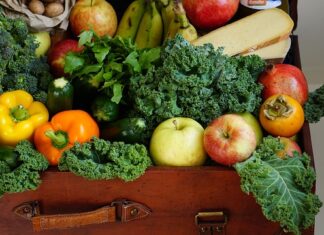 Czy weterynarz może odmówić leczenia?