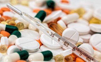 W jakiej temperaturze pies marznie?