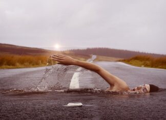 Jakie sporty można uprawiać z psem?