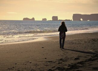 Czy można spacerować z psem w deszczu?