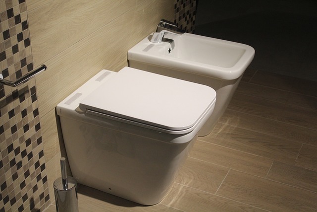 Czy warto zamontować bidet? Czy warto zamontować bidet?