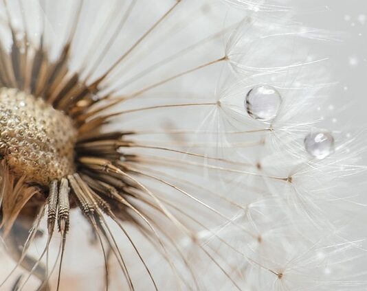 Jak kupować na dropie?