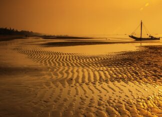 Jaki gimbal do Sony a6400?