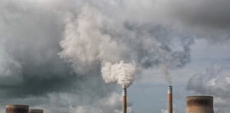 Jakie warunki środowiskowe panują w jaskiniach?