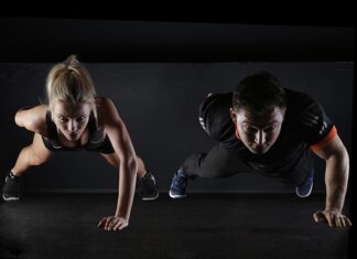 Co podawać psu na budowę mięśni?