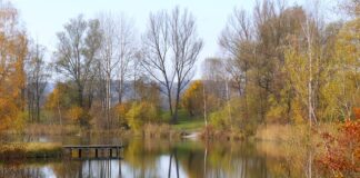 Gdzie szukać dużego okonia?